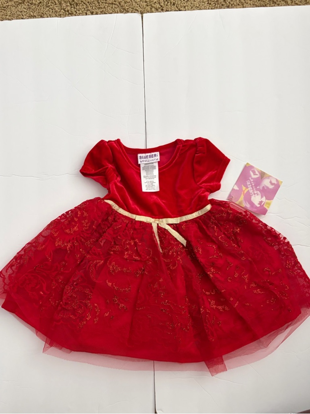 Blueberi Boulevard Red Velvet Tulle Dress with Gold Ribbon